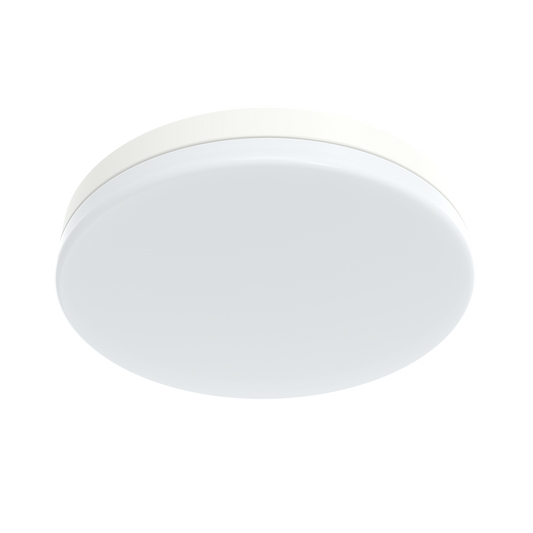 LED Ceiling Light Fixture (ZL-FXCLP)